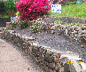 georgessons%26landscaping006021.jpg
